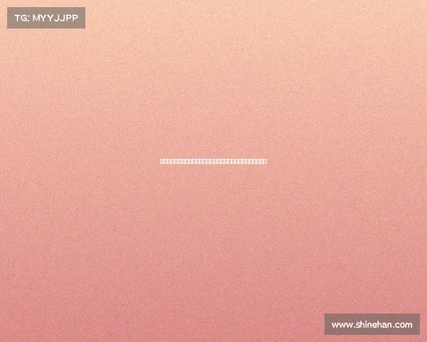 德甲升班马新气象:挑战与机遇并存,赛季初期表现分析与前景展望