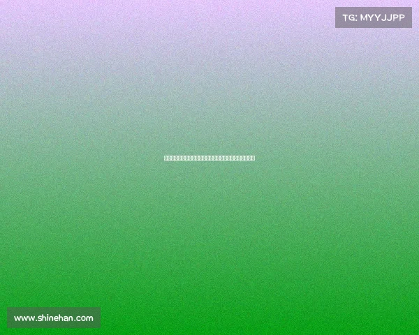 德甲联赛最新动态分析与球队表现探讨及未来发展趋势分析