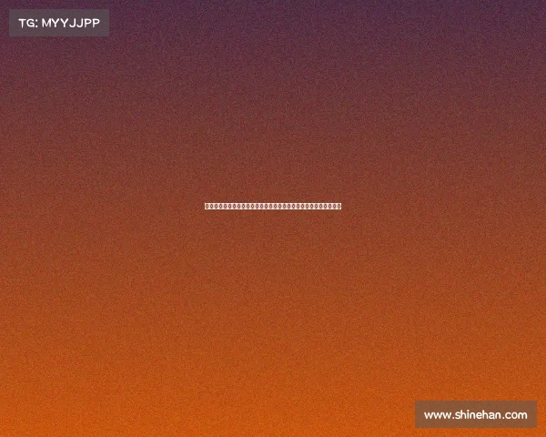 德甲升班马新气象：挑战与机遇并存，赛季初期表现分析与前景展望