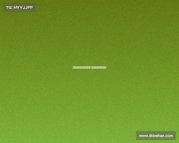 法比奥席尔瓦倾向加盟罗马 但多特报价更具吸引力